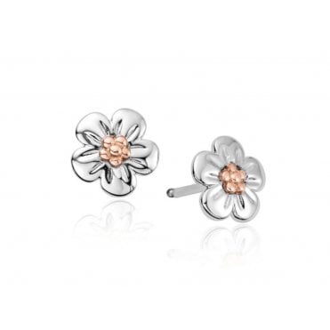 Nature's Wonder Silver Forget-Me-Not Stud Earrings