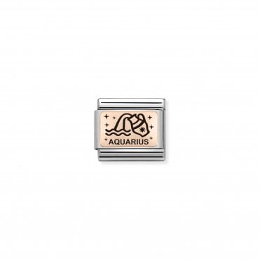 Classic Rose Gold Aquarius Charm