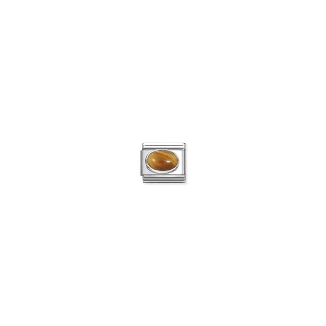 NOMINATION ITALY Classic Silver Tiger Eye Stone Charm