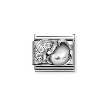 Classic Silvershine Zodiac CZ Aquarius Charm