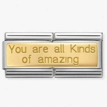Classic Yellow Gold Double Link 'You are All Kinds of Amazing' Charm
