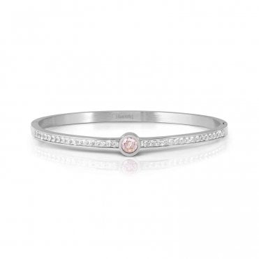 Pretty Bangles Stainless Steel White and Pink CZ Centre Stone Bangle
