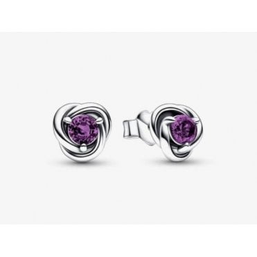 February Birthstone Eternity Circle Stud Earrings