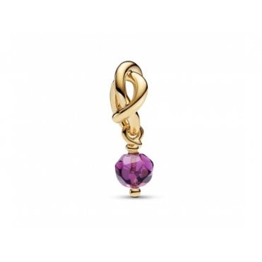 February Birthstone Gold Plated Eternity Circle Dangle Charm