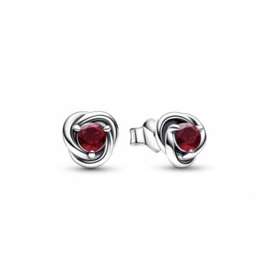 January Birthstone Eternity Circle Stud Earrings