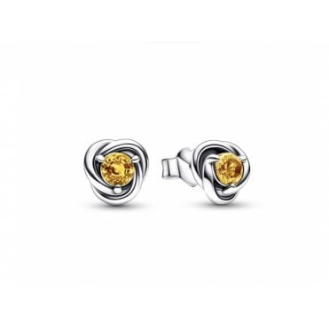 November Birthstone Eternity Circle Stud Earrings